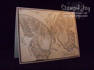 Steampunk Art Butterfly Blueprint