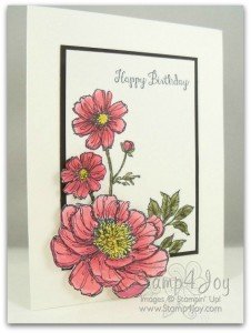 Flower Greeting Cards - blog.Stamp4Joy.com