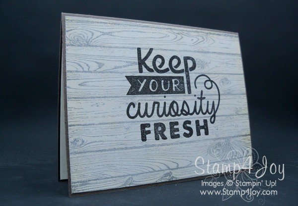 Faux Wooden Sign - blog.Stamp4Joy.com