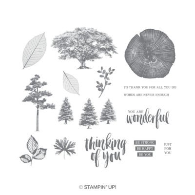https://www.stampinup.com/ECWeb/product/148353/rooted-in-nature-clear-mount-bundle?dbwsdemoid=11438