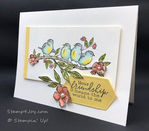 Handmade Friendship Card Design Idea - www.Stamp4Joy.com