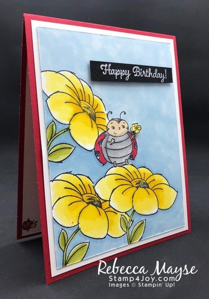 Make a Cute Birthday Card - www.Stamp4Joy.com