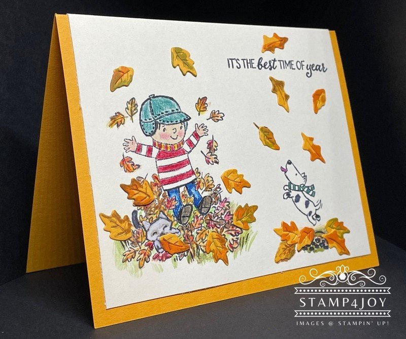 Happy Fall Cards - www.Stamp4Joy.com