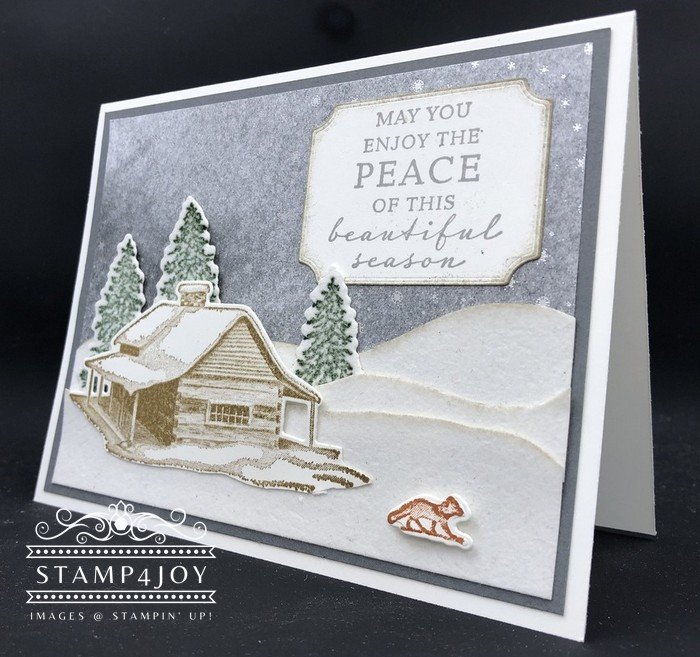 Make a Homemade Card for the Holidays - www.Stamp4Joy.com