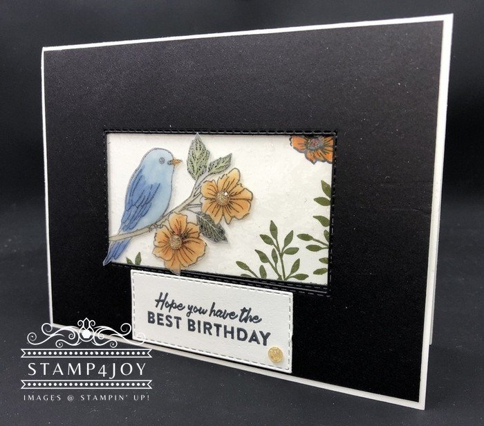 Hope You Have The Best Birthday - www.Stamp4Joy.com