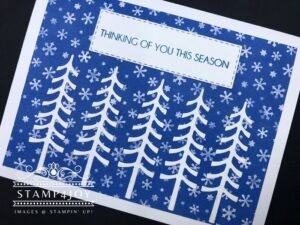 Winter Greeting Cards closeup - Stamp4Joy.com