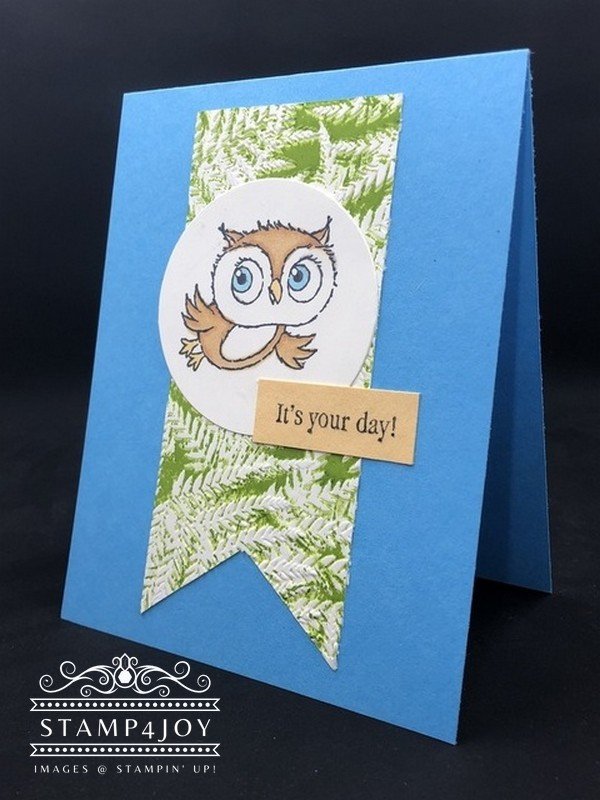 Manic Monday Adorable Owls - Stamp4Joy.com