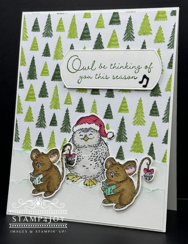 Owl Xmas Cards - Stamp4Joy.com