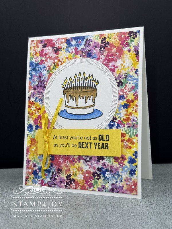 Silly Birthday Card - Stamp4Joy.com