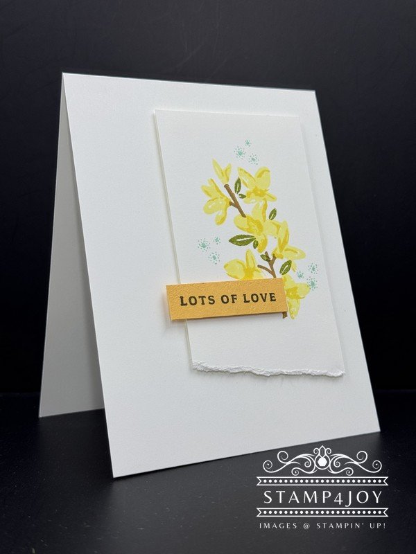 Inspiration for Handmade Cards - Stamp4Joy.com