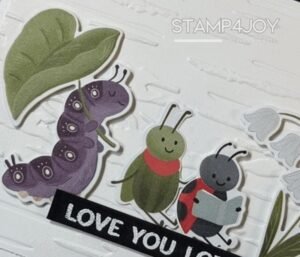 Bug Themed Handmade Card closeup - Stamp4Joy.com