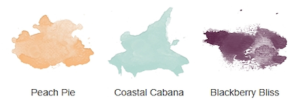 Color Coach Combo: Peach Pie, Coastal Cabana, Blackberry Bliss - Stamp4Joy.com