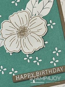 Summer Splash birthday card close-up - Stamp4Joy.com